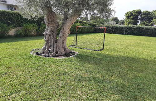 Il Giardino dei Coralli - Foto 4