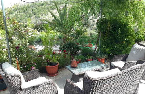 Casa Joya - Photo 48