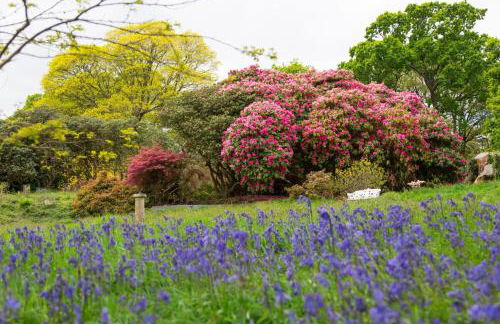 Cornish Castle - Photo 33