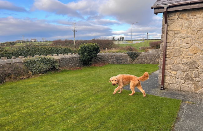 Detached Farmhouse 4 Bed/sleeps 9, Mountain Views! - Foto 33