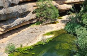 Casa Elisabeth - Foto 39