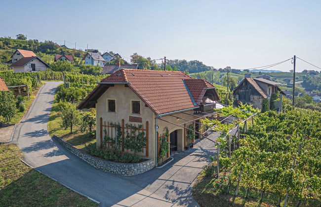 Vineyard Cottage Brodaric - Foto 24