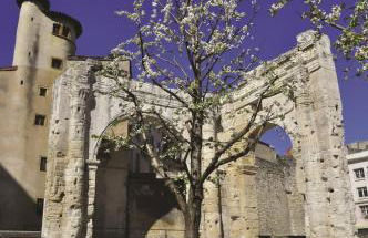 GITE PASQUIER - Foto 14