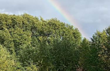 Room with a View - Photo 11