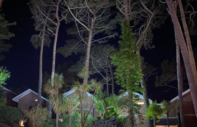 Carilo Hills - Foto 16