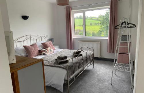 4 bedroom bungalow in peaceful countryside with log burner - Talar Deg, Capel Madog - Foto 4