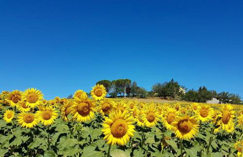 Agriturismo Il Catrino - Foto 26