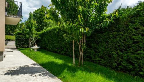 KARLO - Foto 2, Garden