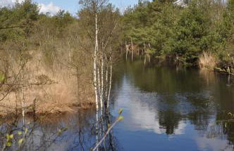 Atelierhaus Tannenweg - Foto 12