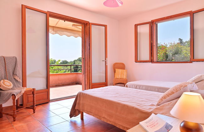 Pinea Mare - Foto 34