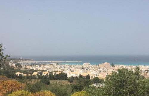 Il Corallo - Foto 44