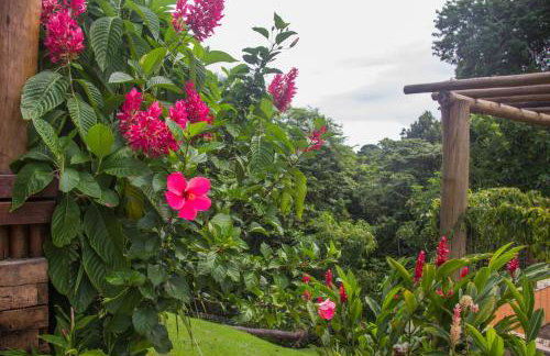 Linda casa em Itacaré Bahia - Foto 8