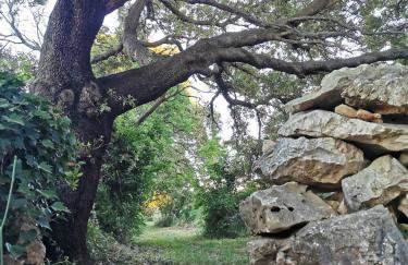 Apartments Silver - Photo 40