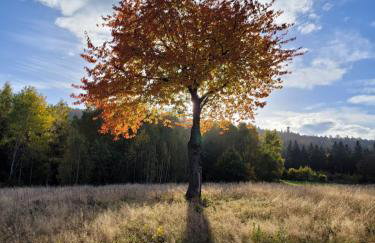 Domek u Hołąbków - Foto 16