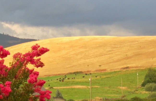 Hopyard View Farm - A Farm Experience in Ashland - Foto 22