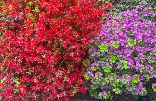 24-Acre Cottage with Hot Tub Near Blowing Rock - Photo 28