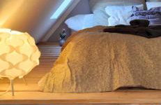 Altstadt-Liebe - Foto 1