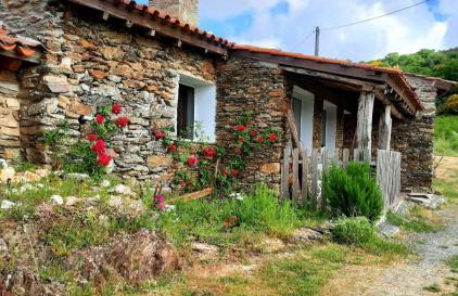 Mosteirinho - Foto 78