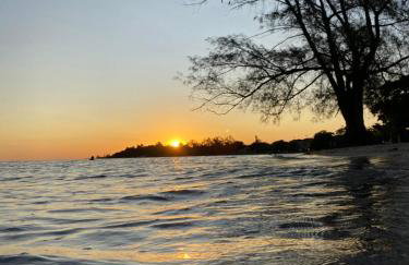 História de Verão House - Foto 6