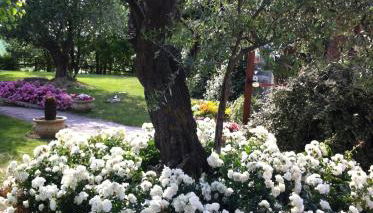 Agri Divin Amore - Foto 5, Garden view