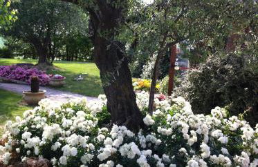 Agri Divin Amore - Foto 5