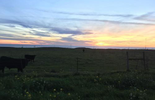 Pescadero Creek Inn - Foto 32