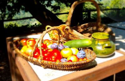 All ' ombra del lauro - Foto 15