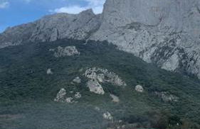 El Gallinero de Tiago - Photo 4