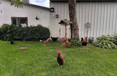 Storchenblick in Sieverstedt - ebenerdige FeWo in ruhiger Umgebung - Foto 27