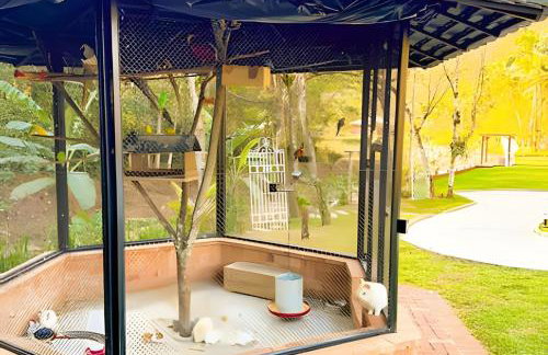 ASA | Villa Esmeralda | Pub | Piscina | Riacho - Photo 47