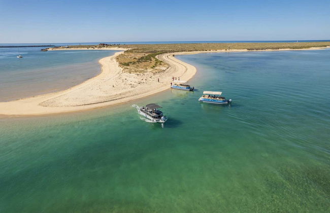 Deserta and Farol Islands Cruise - Photo 9