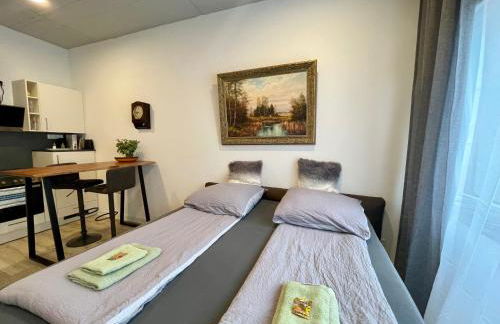 Goldstadt Classic Suite - City Apartament am Schlössle - Foto 34