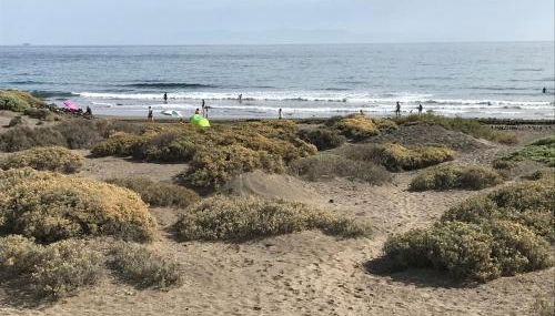 La Perla Medano 2 - Foto 4