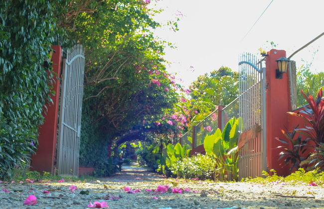 Apartamentos Massai - Foto 73