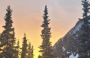 Little Bear Getaway Cabins - Foto 8