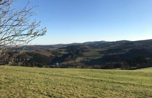 Schwedenhaus Waldkauz - Foto 43