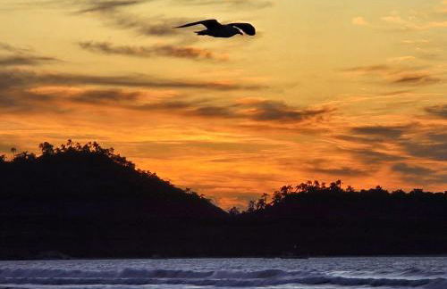 Moradas do Campeche - Pé na areia! - Photo 45