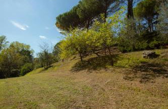 Monteaperto - Foto 24