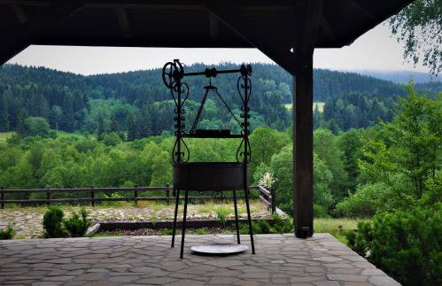 Chata nad Dziką Orlicą z jacuzzi - Foto 46