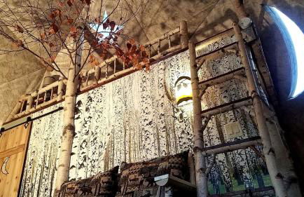 Romantic Glamping Dome in the Catskill Mountains near Woodstock, New York - Foto 12