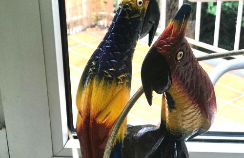 Große & voll ausgestattete Apartments, Studios, Doppelzimmer, Workspace, Parkplatz, Netflix, Prime & schnelles Wifi in ruhiger Lage mit Garten - Foto 30