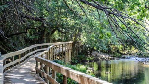 Casa da Ferreirinha - Photo 4