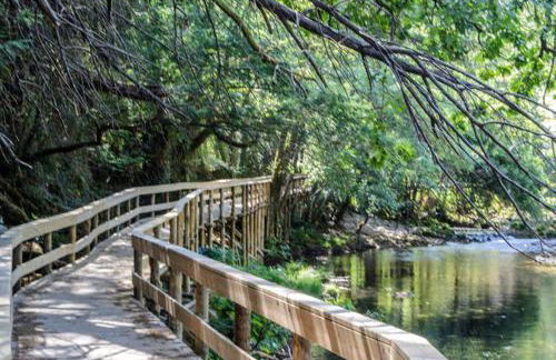 Casa da Ferreirinha - Foto 4