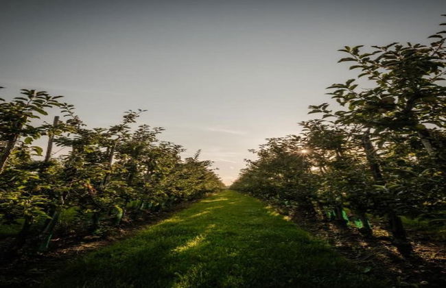 Getaway With Garden in Gelderland - Foto 26