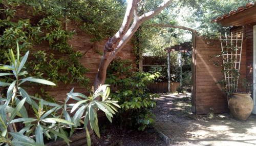 Piscine intérieure Spa privatif, parc arboré 3000 m2, océan et lac - Photo 3, Garden view