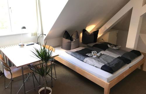 Ferienwohnungen und Apartmenthaus Halle Saale - Villa Mathilda - Foto 20