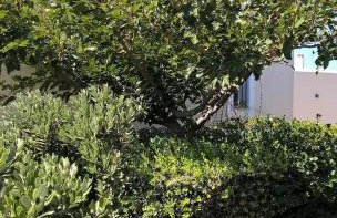 Andros Eco Home - Foto 41