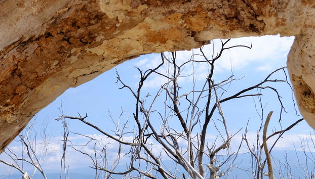 Excursión al lago Enriquillo