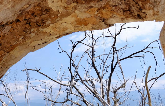Excursión al lago Enriquillo - Foto 5