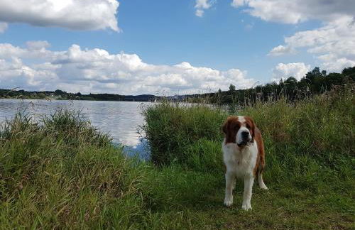 Feriendomizil am Zeulenrodaer Meer - Photo 20